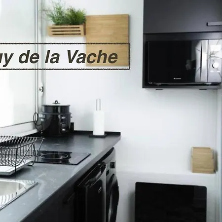 Chaîne Des Puys Avec Garages Attenants Appartement *